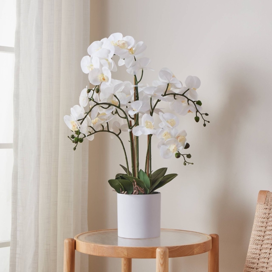 Eglo - Штучна рослина в горщику 65x50 см орхідея