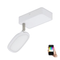 Eglo - Светильник точечный LED RGB PALOMBARE-C 1xLED/5W/230V