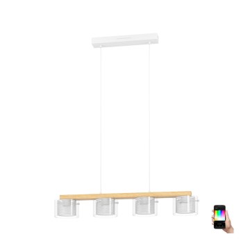 Eglo - Светодиодная подвесная RGBW-люстра с регулированием яркости 4xLED/3,7W/230V 2700-6500K