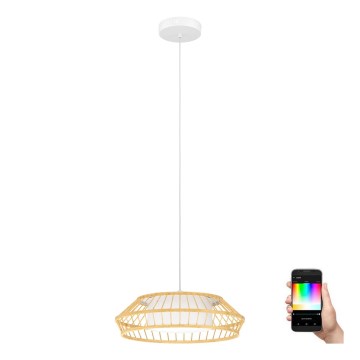 Eglo - Светодиодная подвесная RGBW-люстра с регулированием яркости LED/22W/230V 2700-6500K