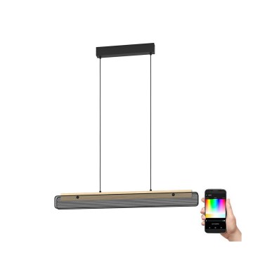 Eglo - Светодиодная подвесная RGBW-люстра с регулированием яркости LED/34W/230V 2700-6500K