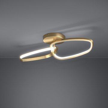 Eglo - Светодиодная припотолочная люстра с регулированием яркости LED/25W/230V 3000K золотистый