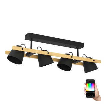 Eglo - Светодиодная припотолочная RGBW-люстра с регулированием яркости 4xLED/3,7W/230V 2700-6500K