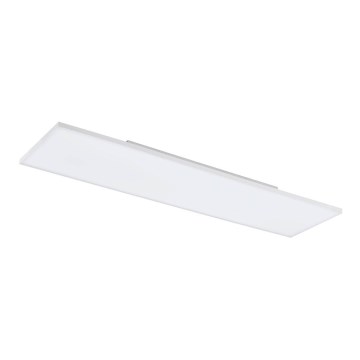 Eglo - Светодиодный потолочный светильник LED/31,5W/230V