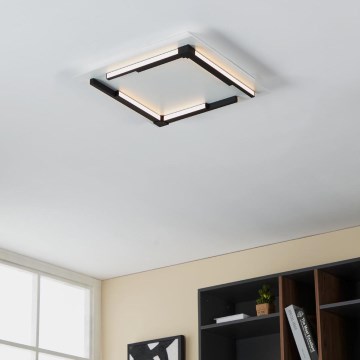 Eglo - Светодиодный потолочный светильник с регулированием яркости LED/25W/230V