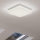 Eglo - Светодиодный потолочный светильник LED/10W/230V