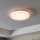 Eglo - Светодиодный потолочный светильник LED/14,6W/230V