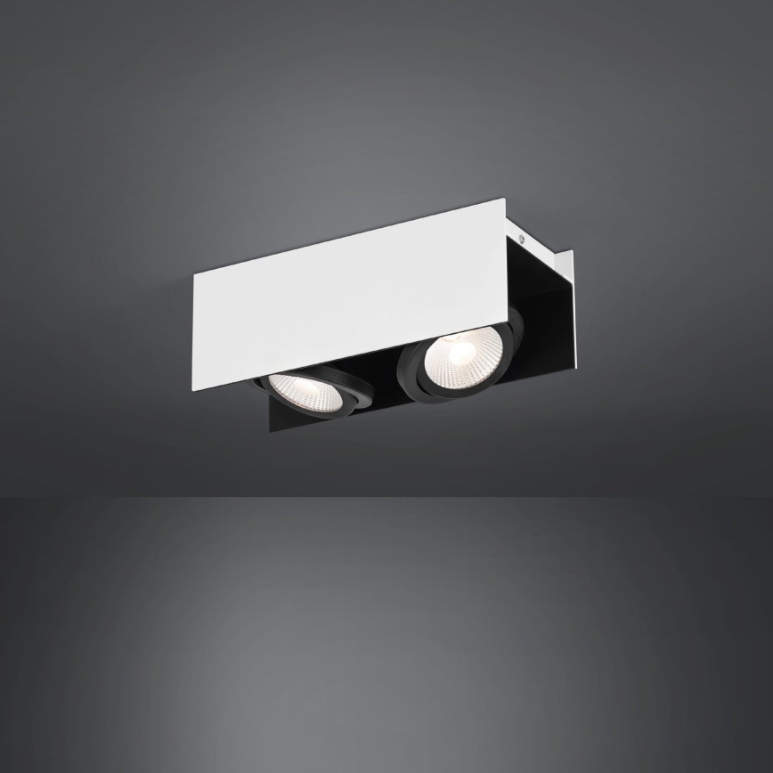 Eglo - Светодиодный точечный светильник с регулированием яркости 2xLED/5,4W/230V