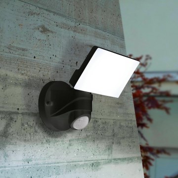 Eglo - Светодиодный уличный светильник с датчиком LED/15W/230V IP44