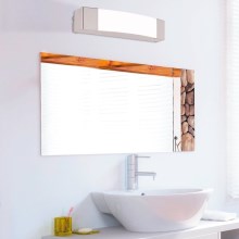 Eglo - Светодиодная подсветка для зеркала в ванной комнате LED/8,3W/230V IP44