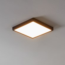 Eglo - Светодиодный диммируемый светильник для ванной комнаты LED/19,5W/230V IP44 ZigBee