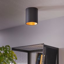 Eglo - Светодиодный потолочный светильник 1xLED/3,3W/230V