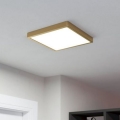 Eglo - Светодиодный потолочный светильник LED/20,5W/230V