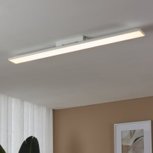 Eglo - Светодиодный потолочный светильник LED/21W/230V 3000K 118,7 см