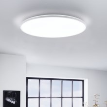Eglo - Светодиодный потолочный светильник LED/29W/230V ⌀ 50 см