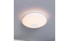 Eglo - Светодиодный потолочный светильник с регулированием яркости LED/20W/230V