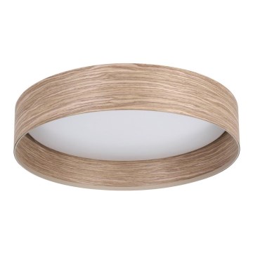 Eglo - Світильник стельовий LED/24W/230V