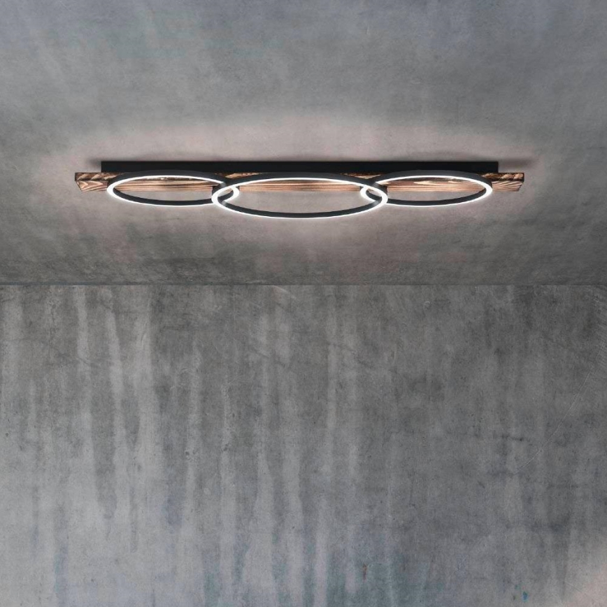 Eglo - Світильник стельовий LED 2xLED/12W/230V + LED/12W