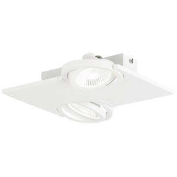 Eglo - Світлодіодний прожектор 2xLED/5W/230V/12V