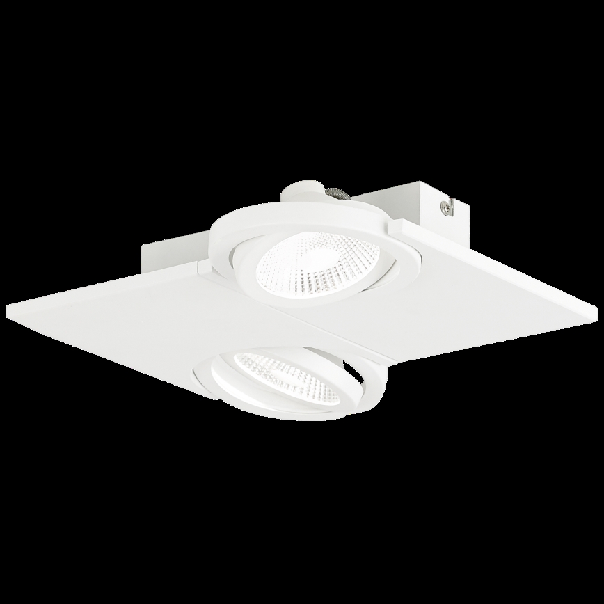 Eglo - Світлодіодний прожектор 2xLED/5W/230V/12V