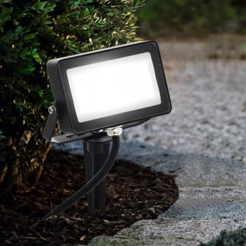 Eglo - Світлодіодний RGB-прожектор LED/10W/230V + дистанційне керування
