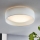 Eglo - Світлодіодний стельовий світильник 1xLED/11W/230V