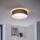 Eglo - Світлодіодний стельовий світильник 1xLED/12W/230V