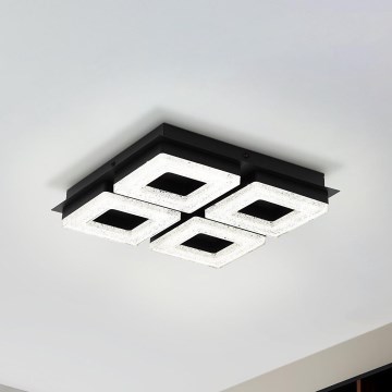 Eglo - Світлодіодний стельовий світильник 4xLED/4W/230V