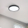 Eglo - Світлодіодний стельовий світильник для ванної кімнати LED/20W/230V IP44