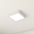 Eglo - Світлодіодний стельовий світильник LED/10,5W/230V