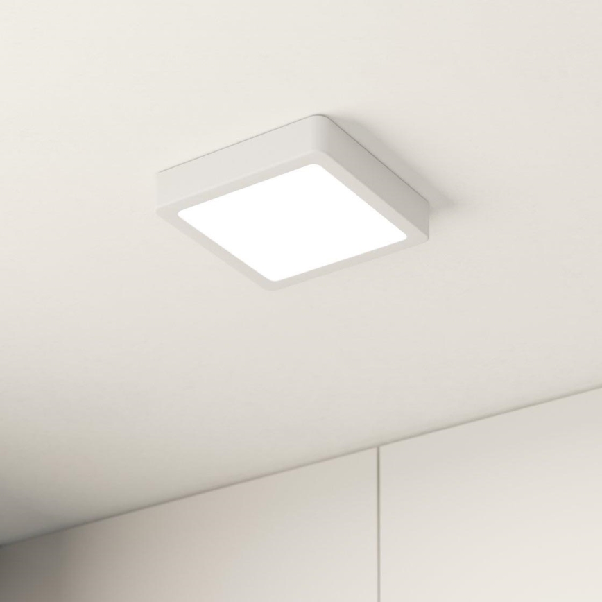 Eglo - Світлодіодний стельовий світильник LED/10,5W/230V