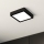 Eglo - Світлодіодний стельовий світильник LED/10,5W/230V