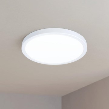 Eglo - Світлодіодний стельовий світильник LED/20W/230V