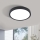 Eglo - Світлодіодний стельовий світильник LED/20W/230V