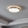 Eglo - Світлодіодний стельовий світильник LED/24W/230V