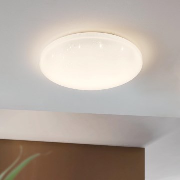 Eglo - Світлодіодний стельовий світильник LED/49,5W/230V