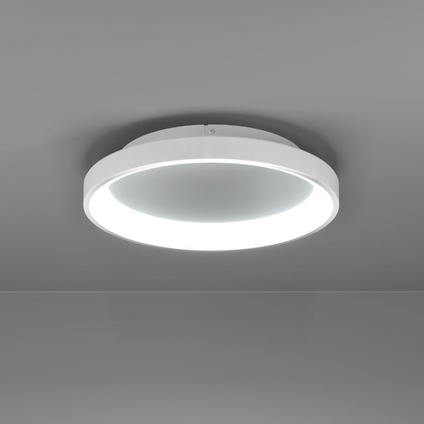 Eglo - Світлодіодний стельовий світильник з регулюванням яскравості LED/12W/230V 2700-6500K білий + пульт дистанційного керування