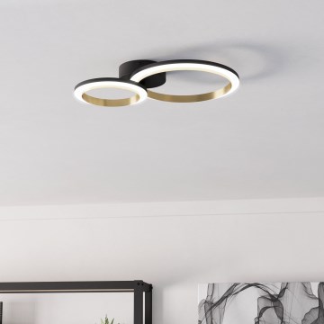 Eglo - Світлодіодний стельовий світильник з регулюванням яскравості LED/12W/230V 4000K чорний/золотий