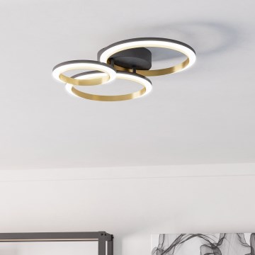 Eglo - Світлодіодний стельовий світильник з регулюванням яскравості LED/20W/230V 4000K чорний/золотий