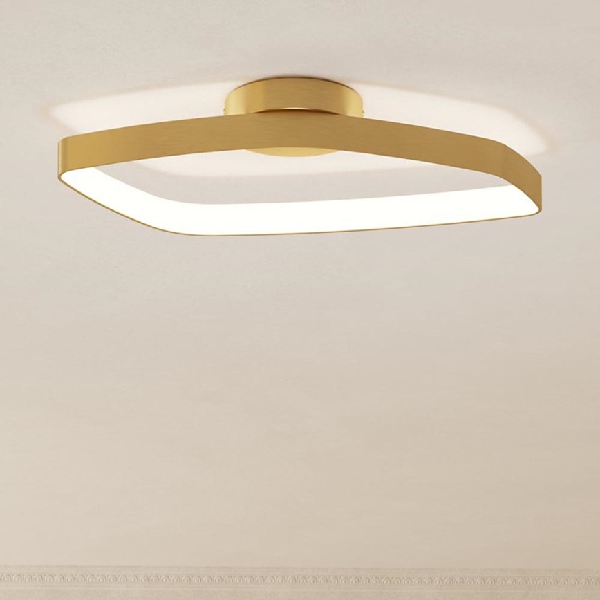 Eglo - Світлодіодний стельовий світильник з регулюванням яскравості LED/25,2W/230V