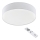 Eglo - Світлодіодний стельовий світильник з регульованою яскравістю LED/40W/230V
