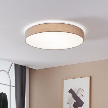 Eglo - Світлодіодний стельовий світильник з регульованою яскравістю LED/60W/230V