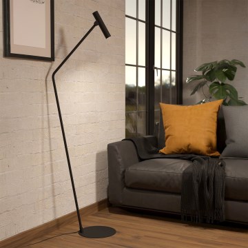 Eglo - Світлодіодний торшер LED/5W/230V 3000K чорний