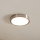Eglo - Світлодіодний стельовий світильник LED/16,5W/230V