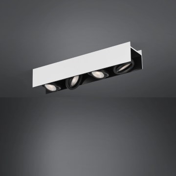 Eglo - Точковий LED світильник з регулюванням яскравості 4xLED/5,4W/230V