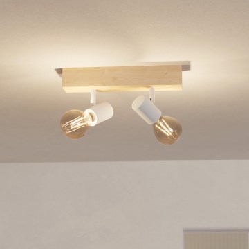 Eglo - Точковий світильник TOWNSHEND 2xE27/60W/230V - FSC сертифіковано