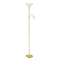 EGLO - Торшер 1xE27/60W + 1xE14/25W золотистий