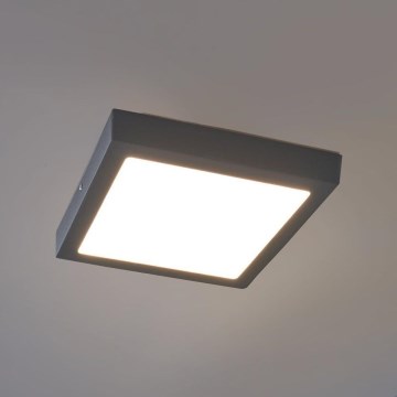 Eglo - Уличный светодиодный потолочный светильник LED/22W IP44