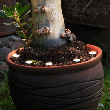 Eglo - Вулична декоративна LED гірлянда SPINETOLI 6xLED IP65