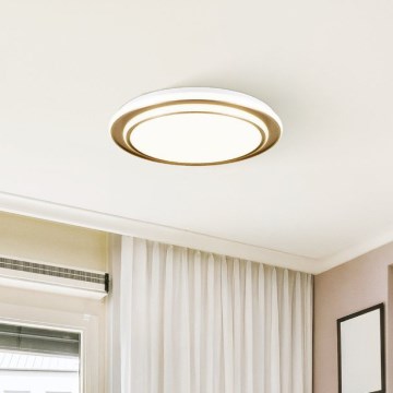 Eglo — LED потолочный светильник, 36 Вт, 230 В, 2700/4000/6500 K, диам. 49 см, золотой